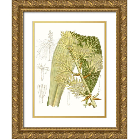 Palm Melange VI Gold Ornate Wood Framed Art Print with Double Matting by Curtis