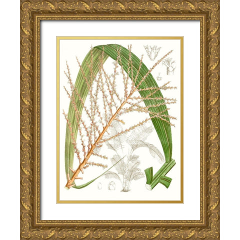 Palm Melange VII Gold Ornate Wood Framed Art Print with Double Matting by Curtis