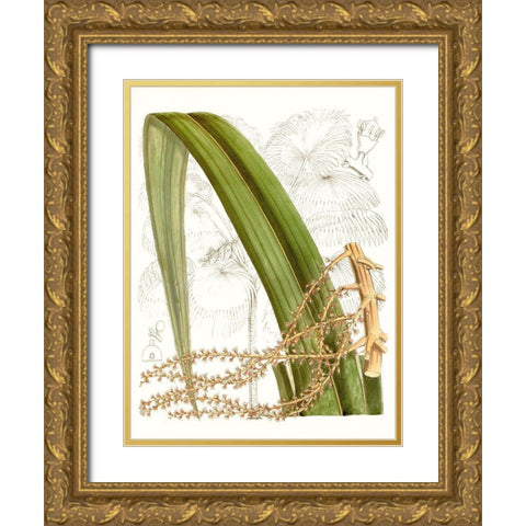 Palm Melange VIII Gold Ornate Wood Framed Art Print with Double Matting by Curtis