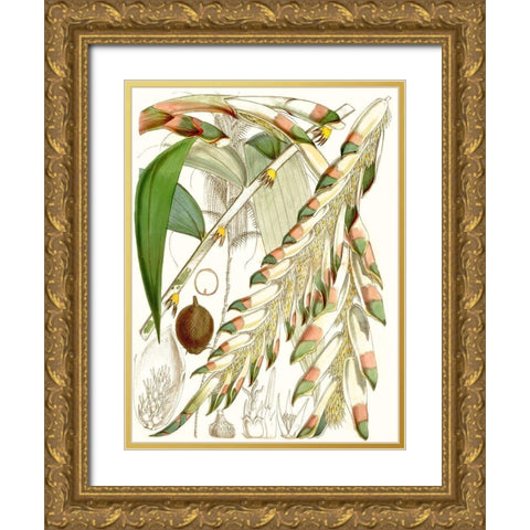 Tropical Variety I Gold Ornate Wood Framed Art Print with Double Matting by Curtis