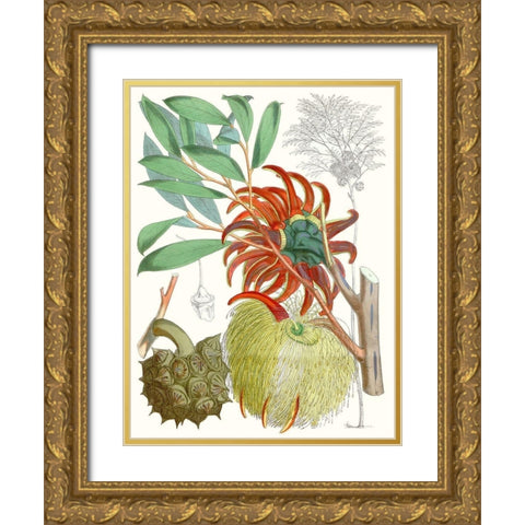 Tropical Variety IV Gold Ornate Wood Framed Art Print with Double Matting by Curtis