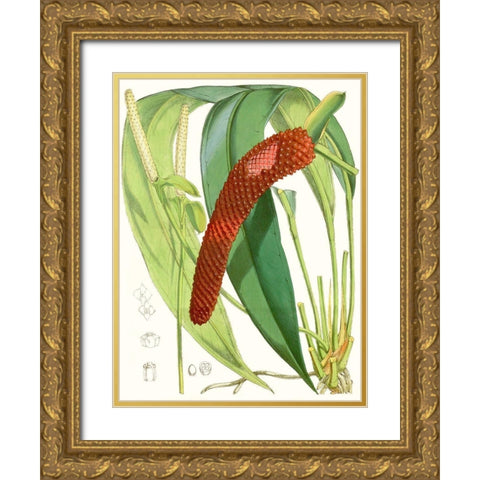 Tropical Variety V Gold Ornate Wood Framed Art Print with Double Matting by Curtis