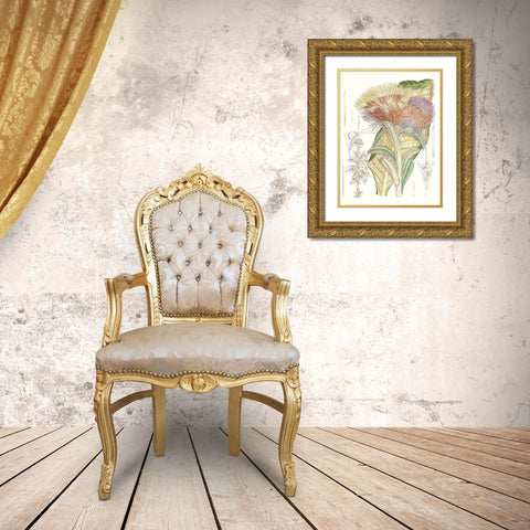 Tropical Variety IX Gold Ornate Wood Framed Art Print with Double Matting by Curtis