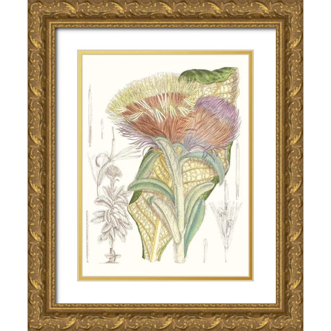Tropical Variety IX Gold Ornate Wood Framed Art Print with Double Matting by Curtis