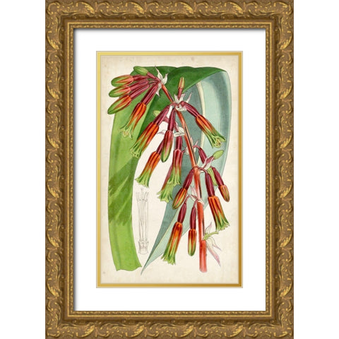 Tropical Gems I Gold Ornate Wood Framed Art Print with Double Matting by Curtis