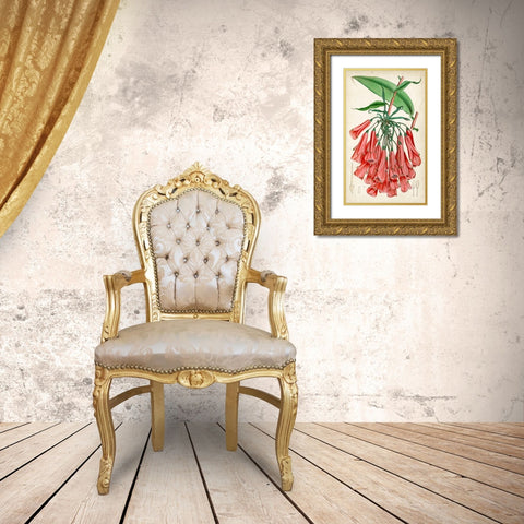 Tropical Gems II Gold Ornate Wood Framed Art Print with Double Matting by Curtis