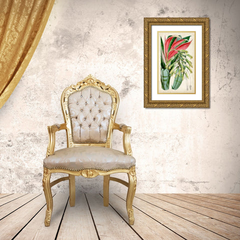 Tropical Gems III Gold Ornate Wood Framed Art Print with Double Matting by Curtis