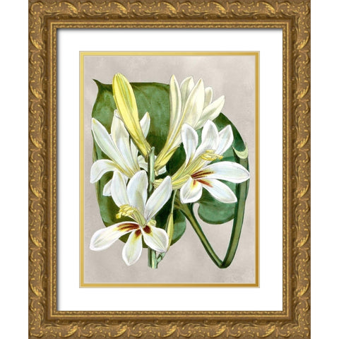 Alabaster Blooms IV Gold Ornate Wood Framed Art Print with Double Matting by Curtis