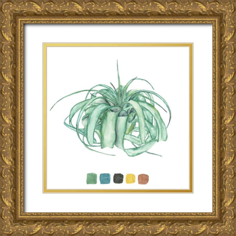 Air Plant Study I Gold Ornate Wood Framed Art Print with Double Matting by Wang, Melissa