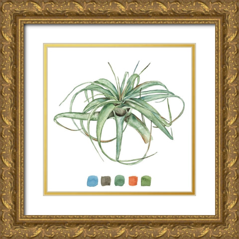 Air Plant Study III Gold Ornate Wood Framed Art Print with Double Matting by Wang, Melissa