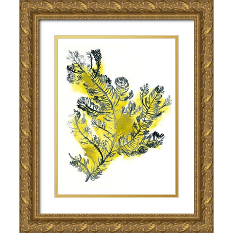 Citron Sea Kelp IV Gold Ornate Wood Framed Art Print with Double Matting by Vess, June Erica
