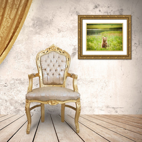 Bear Life VII Gold Ornate Wood Framed Art Print with Double Matting by PHBurchett