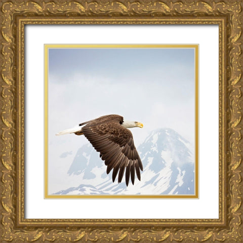 Majestic Eagle I Gold Ornate Wood Framed Art Print with Double Matting by PHBurchett
