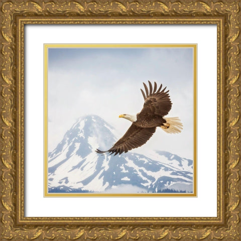 Majestic Eagle II Gold Ornate Wood Framed Art Print with Double Matting by PHBurchett