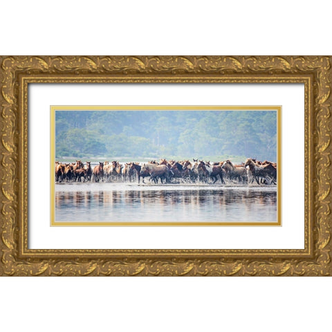 Water Horses II Gold Ornate Wood Framed Art Print with Double Matting by PHBurchett