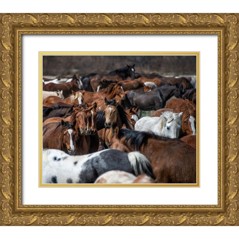 Horse Back Gold Ornate Wood Framed Art Print with Double Matting by PHBurchett