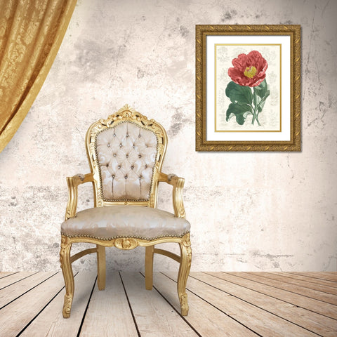 Peony Flower Garden I Gold Ornate Wood Framed Art Print with Double Matting by Vision Studio