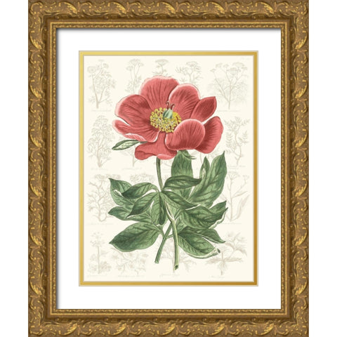 Peony Flower Garden II Gold Ornate Wood Framed Art Print with Double Matting by Vision Studio