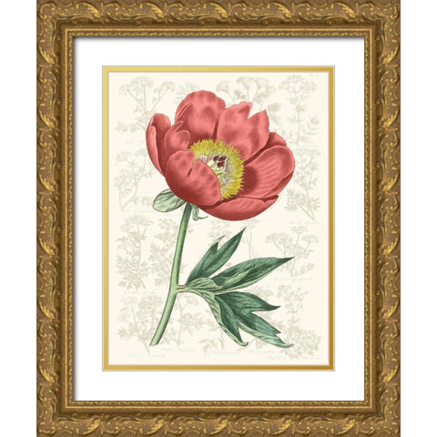 Peony Flower Garden III Gold Ornate Wood Framed Art Print with Double Matting by Vision Studio