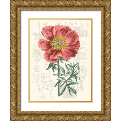 Peony Flower Garden IV Gold Ornate Wood Framed Art Print with Double Matting by Vision Studio