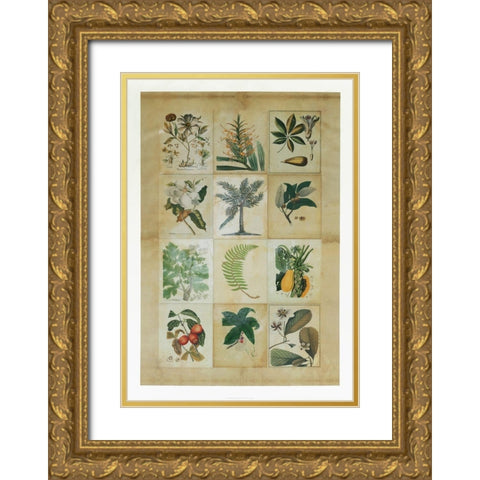 Botanical Sampler I Gold Ornate Wood Framed Art Print with Double Matting by Vision Studio