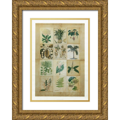 Botanical Sampler II Gold Ornate Wood Framed Art Print with Double Matting by Vision Studio