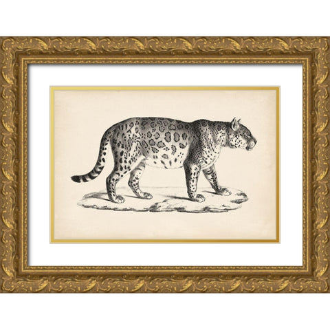 Brodtmann Male Leopard Gold Ornate Wood Framed Art Print with Double Matting by Brodtmann