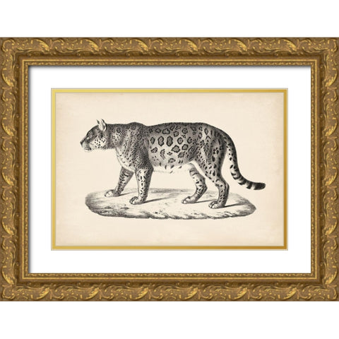 Brodtmann Female Leopard Gold Ornate Wood Framed Art Print with Double Matting by Brodtmann