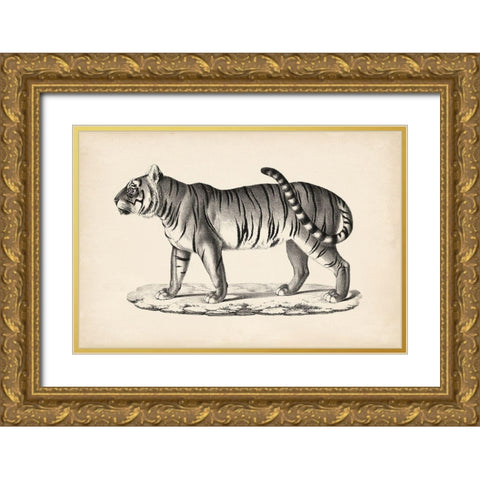 Brodtmann Male Tiger Gold Ornate Wood Framed Art Print with Double Matting by Brodtmann
