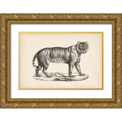 Brodtmann Female Tiger Gold Ornate Wood Framed Art Print with Double Matting by Brodtmann
