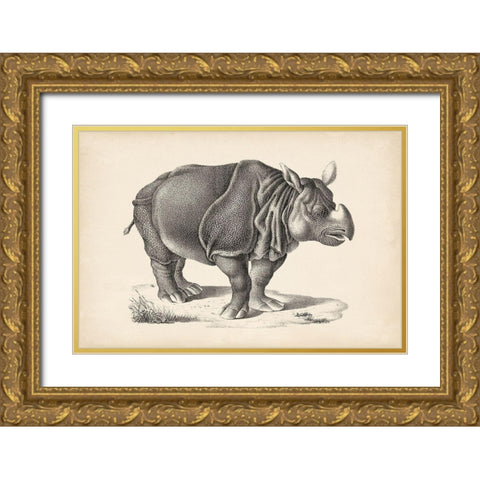 Brodtmann Rhinoceros Gold Ornate Wood Framed Art Print with Double Matting by Brodtmann