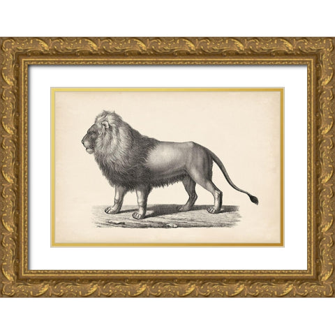 Brodtmann Lion Gold Ornate Wood Framed Art Print with Double Matting by Brodtmann