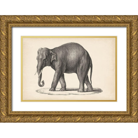 Brodtmann Elephant Gold Ornate Wood Framed Art Print with Double Matting by Brodtmann