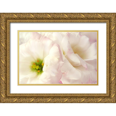 Pink Blossoms I Gold Ornate Wood Framed Art Print with Double Matting by Zalewski, Christine