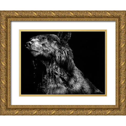 Ursa Major Gold Ornate Wood Framed Art Print with Double Matting by Chapman, Julie T.