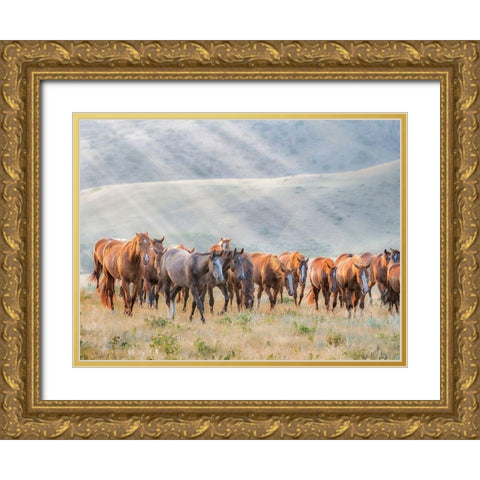 Sunkissed Horses III Gold Ornate Wood Framed Art Print with Double Matting by PHBurchett