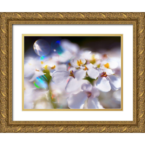 Jewels of the Enchanted Forest I Gold Ornate Wood Framed Art Print with Double Matting by Hunt, Gillian