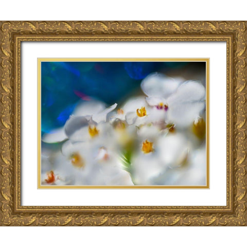 Jewels of the Enchanted Forest V Gold Ornate Wood Framed Art Print with Double Matting by Hunt, Gillian