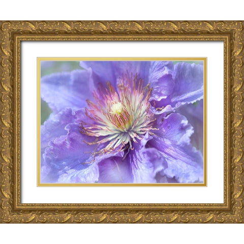 Heart of the Camelia II Gold Ornate Wood Framed Art Print with Double Matting by Hunt, Gillian