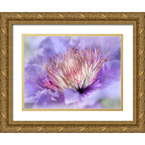 Heart of the Camelia III Gold Ornate Wood Framed Art Print with Double Matting by Hunt, Gillian