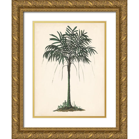 Palm Tree Study II Gold Ornate Wood Framed Art Print with Double Matting by Wang, Melissa