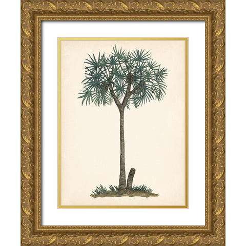 Palm Tree Study III Gold Ornate Wood Framed Art Print with Double Matting by Wang, Melissa