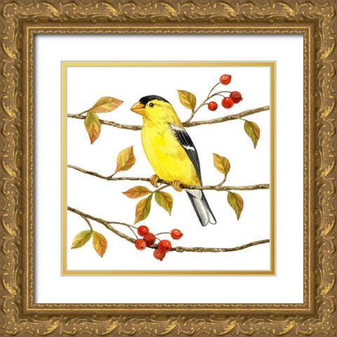Birds and Berries II Gold Ornate Wood Framed Art Print with Double Matting by Maday, Jane
