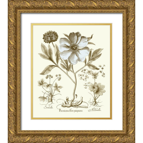 Spa Peonies II Gold Ornate Wood Framed Art Print with Double Matting by Besler, Basilius