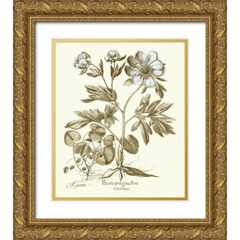 Spa Peonies III Gold Ornate Wood Framed Art Print with Double Matting by Besler, Basilius