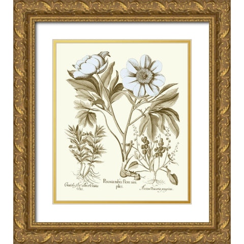 Spa Peonies IV Gold Ornate Wood Framed Art Print with Double Matting by Besler, Basilius