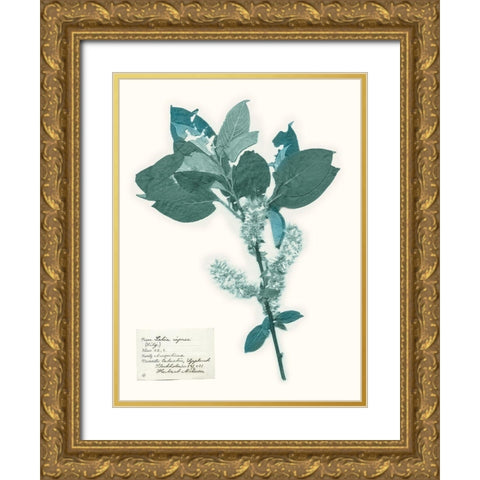 Pressed Flowers in Spa I Gold Ornate Wood Framed Art Print with Double Matting by Vision Studio