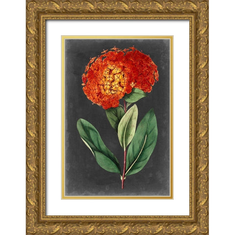 Dramatic Floral II Gold Ornate Wood Framed Art Print with Double Matting by Curtis