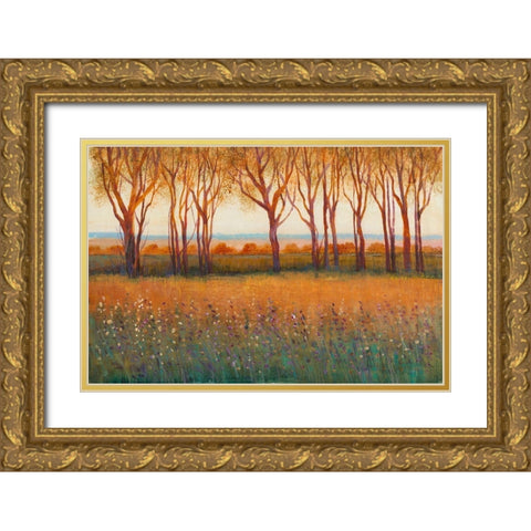 Glow in the Afternoon I Gold Ornate Wood Framed Art Print with Double Matting by OToole, Tim