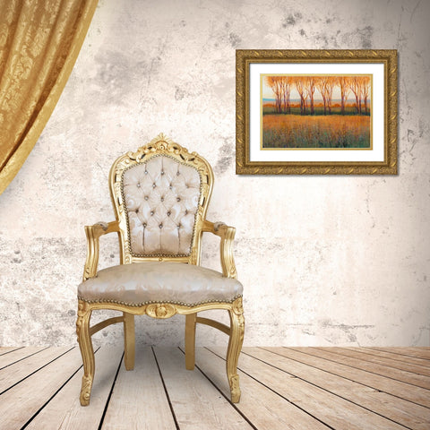 Glow in the Afternoon II Gold Ornate Wood Framed Art Print with Double Matting by OToole, Tim